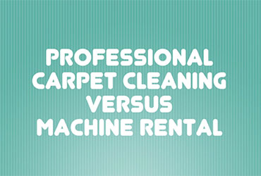 DIY Machine vs Professional Carpet Cleaning